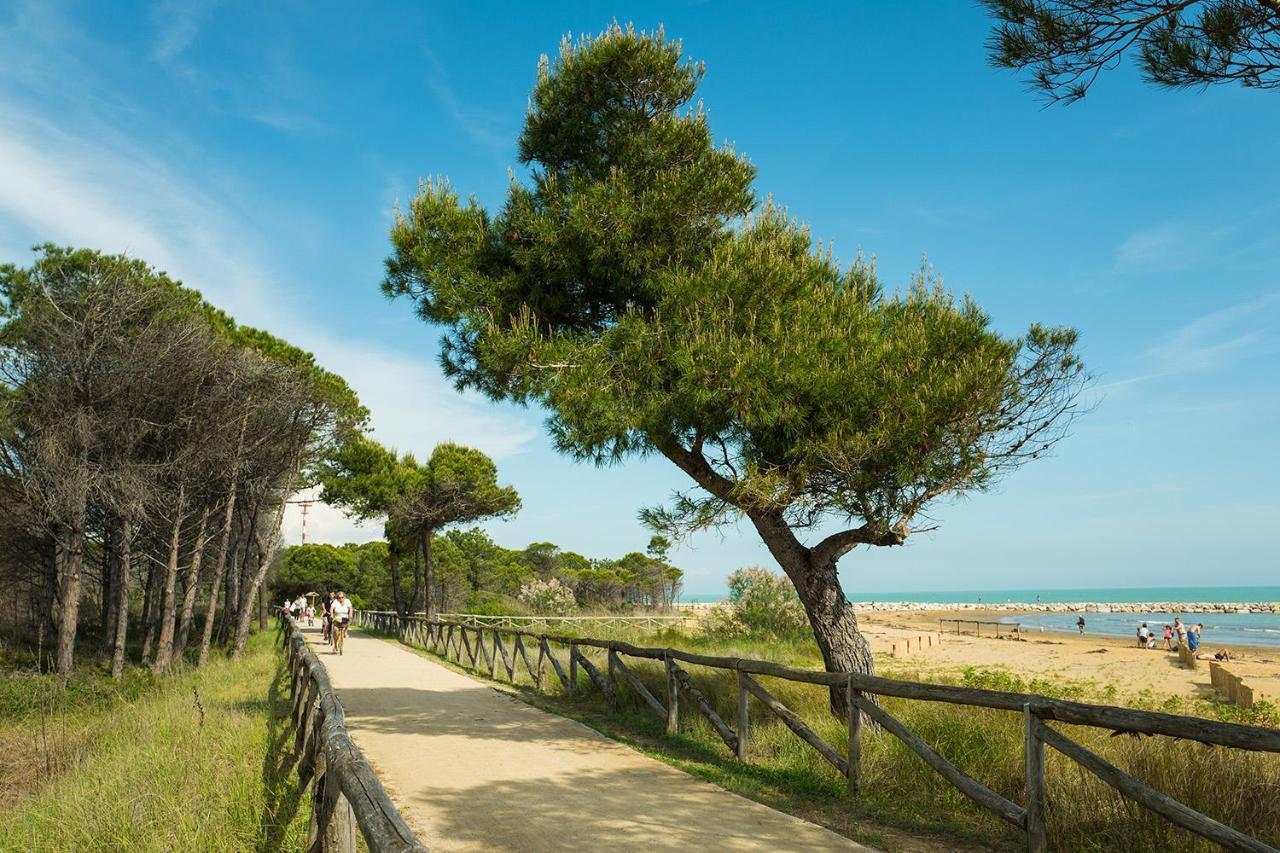 Girasoli Μπιμπιόνε Εξωτερικό φωτογραφία